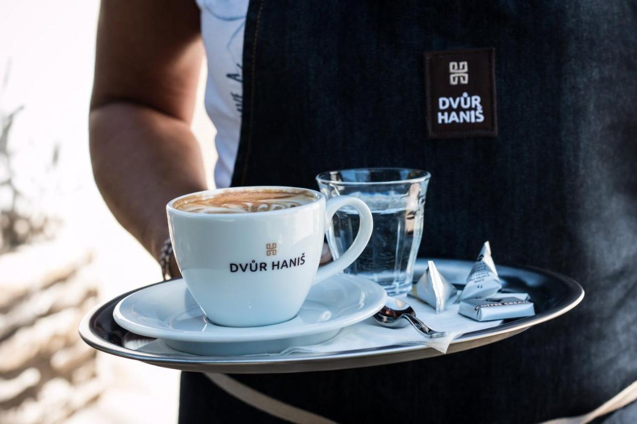 Dvur Hanis - Adults Only - Deti Od 12 Let Marsov nad Metuji ภายนอก รูปภาพ